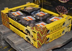 Mini beetroot from Africa