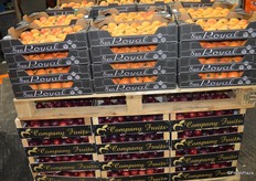 Various stonefruit from Spain.