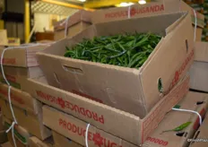 Green chillies from Uganda.