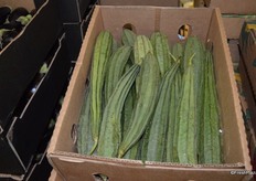 Okra from Honduras.
