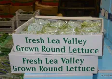 Lettuce from Fresh Lea Valley, England.