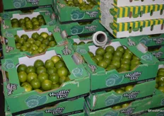 More limes! These are from Brazil