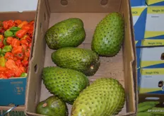 Jack fruit on the Tropifresh stand.