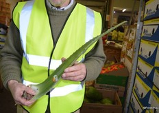 Aloe vera is also more and more in demand