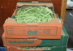 Green beans from Egypt.