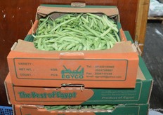 Green beans from Egypt.