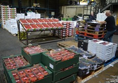 The next hall had all the softfruit