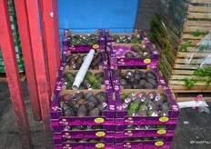 and of course there were ready to eat avocados