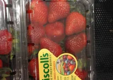 Competition from imported strawberries.