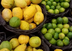 Lemons and limes, despite high prices much in demand.