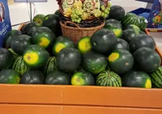 A beautiful and remarkable presentation for the watermelons.
