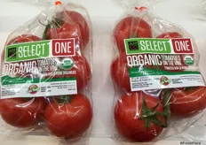 A new product from Amco Produce: organic tomatoes on the vine.