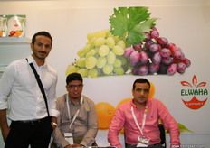 The Elwaha (Egypt) export team: Mohamad, Ahmed and Youssif; Elwaha is specializing in growing, producing and exporting top quality agricultural products.