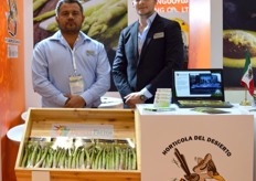 Gonzalo Viveros and Bram Hulshoff from Desert Farms, a company specialized in the production and commercialisation of green asparagus.
