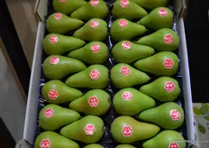 "Migo pears, from FruitMasters the "friendly pear" brand."
