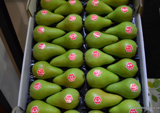 "Migo pears, from FruitMasters the "friendly pear" brand."