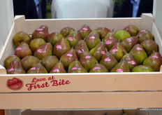 The Sweet Sensation pear from the Greenery. The Sweet Sensation and the Conference pear will both be promoted in China.