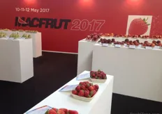 Macfrut 2017: strawberries in the picture.
