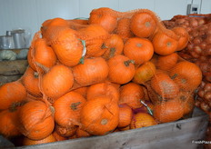 Pumpkins are full in season in Poland.