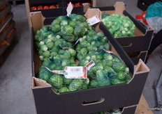Brussel sprouts just put in nets.