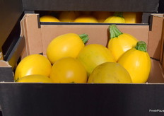 Yellow round zucchini.