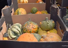 Seasonal gourds to be used for decoration.