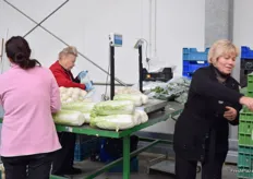Workers packaging Chinese cabbage.