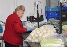 Vegetables being put in net bags.