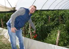 Andreij shows some of his red bell peppers.
