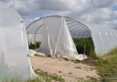 Climate control by opening or closing the end pieces.