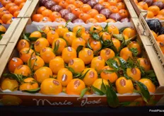 Mandarins with leaf sold under the Marie José brand, exhibited at the stand of Escrig Gourmet.