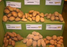 Familiar varieties from C. Meijer which are also sold on the Spanish market.