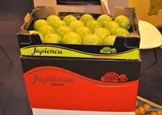 Fruitport promotes its products in Spain as a specialist in Kiwi, Pinklady, Gala, Chanteclerc and Canada Gris.