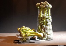 Syngenta España and their Multifloral specialty broccoli which is presented this year. It's a multifloral speciality broccoli. It's a short-cycle product that stands out because of the ease of collection and preparation of the stems.