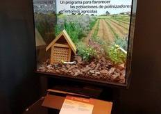 Syngenta this time with the operation pollinator, however it's already in the market since january 2015. It's a toolkit to increase useful fauna or pollinators depending on the crop. It's ideal to develop agricultural sustainable practices.