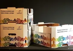 Hinojosa Packaging with the new packaging called Airfruit. New in the market since january 2016. It's a new tray authorized for the agricultural sector, with a new structural design of form octogonal favors the air traffic between the boxes. It's recuding the time of colling in cold-storage rooms and therefore saving in costs again.