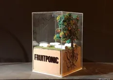 Fruitponic fruit from Comercial Projar, it's new since this year September. it's a semi-hydrophonic system for production increase in fruit trees.