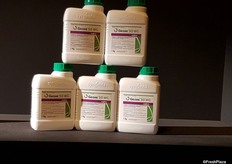 Again Sygenta España at the Pasarela Innova with the Geoxe, already commercialize this year april. It's a fungicide with fludioxonil as active ingredient to control post-harvest diseases in apples and pears.