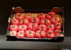 The Monterosa Tomato was presented by Kopalmerica/Gavá Grup. The Monterosa is a tomato from summer crop, which is grown in the winter. It's a perfect combination of taste, texture, shape and color.