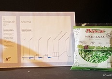 Vegetales Línea Verde Navarra and their product Mixticanza, which is new since october this year. Description: New baby leaf range obtained using our exclusive system hydraupe, an innovative process that keeps the authentic taste and natural texture of the vegetable because we don't use chemicals that alter them.