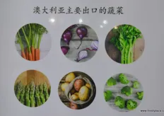 Australian fresh vegetables for export.