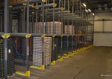 The fruit goes straight from cold storage to the ship. Each cold room can hold 1000 pallets.