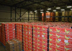 South American bananas also do a quick turnaround from the ships to the ripeners, they can be here anywhere from 1hr to 2 days. This room can store 1500 pallets.
