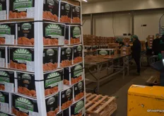 Sweet potatoes from Farm Fresh are repacked.