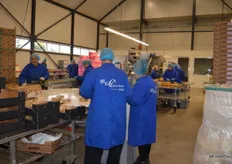 Lots of people busy on the packing line for Physalis.