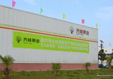 Qifeng's Fruit packing house and distribution system.