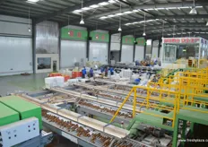 Qifen's newly installed sorting line by MAF Roda.