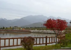View on Mount Taibai.
