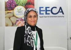 Ms. Hala for AEC and EECA (Egypt)