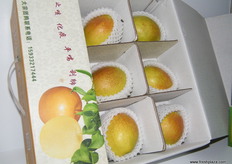 fragrant pears at Hebei (China) pavilion